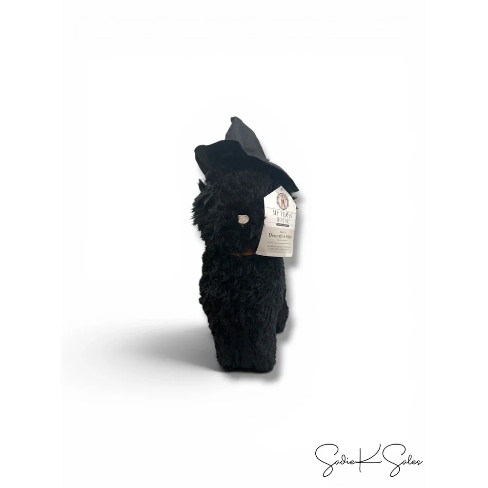 My Texas House Witch Black Cat Halloween Decorative Pillow